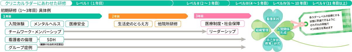 クリニカルラダーにあわせた研修